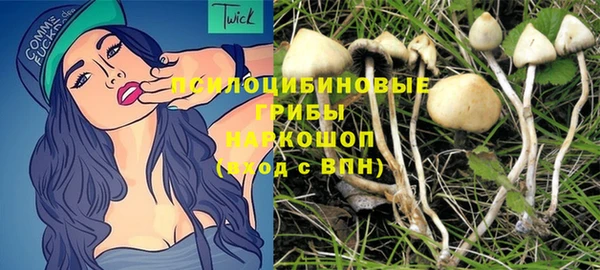 молекула духа Нефтегорск
