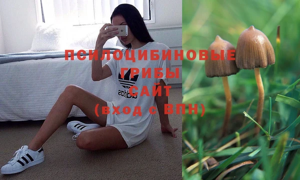 прущая мука Нея