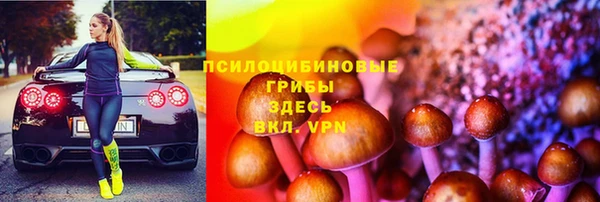 прущая мука Нея