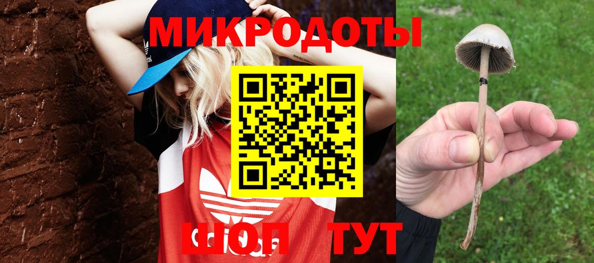 Псилоцибиновые грибы ЛСД Рассказово