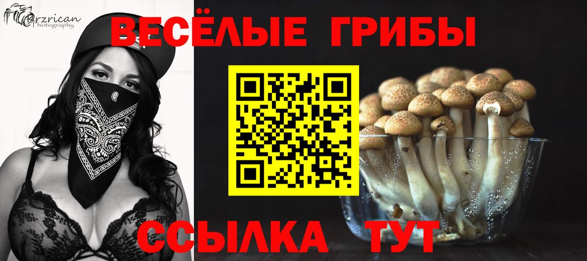 Псилоцибиновые грибы мухоморы  Вход с VPN  Рассказово  Галлюциногенные грибы мухоморы 